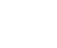 Colonial AutoPark Logo